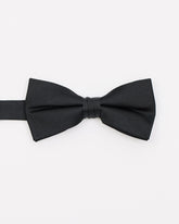 RW&CO Solid Iridescent Bow Tie