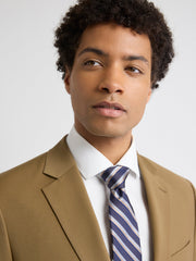RW&CO Brown Regular Tie with Stripes