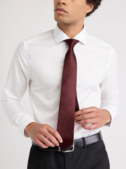 RW&CO Celebration Regular Tie