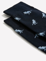 RW&CO Dinosaur Socks