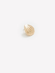 RW&CO Shell Earrings