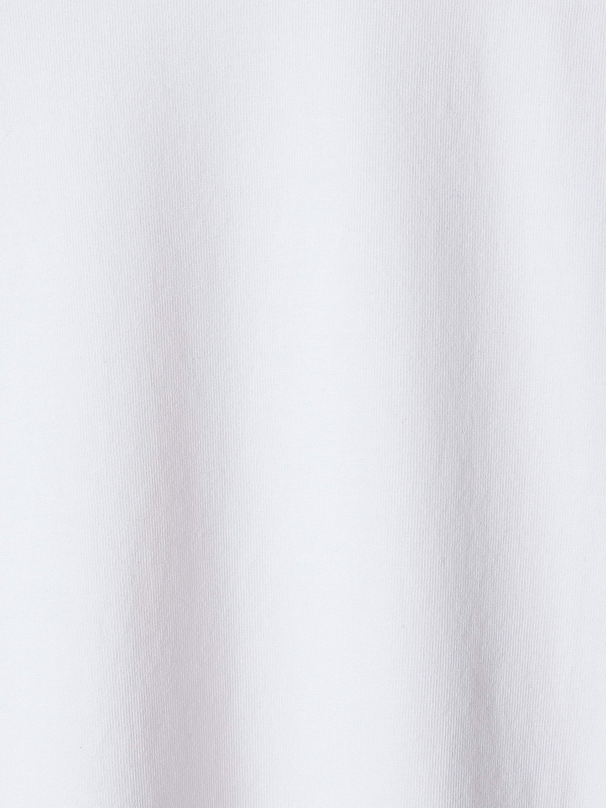RW&CO Supima Cotton (R) V-Neck T-shirt