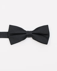 RW&CO Solid Iridescent Bow Tie