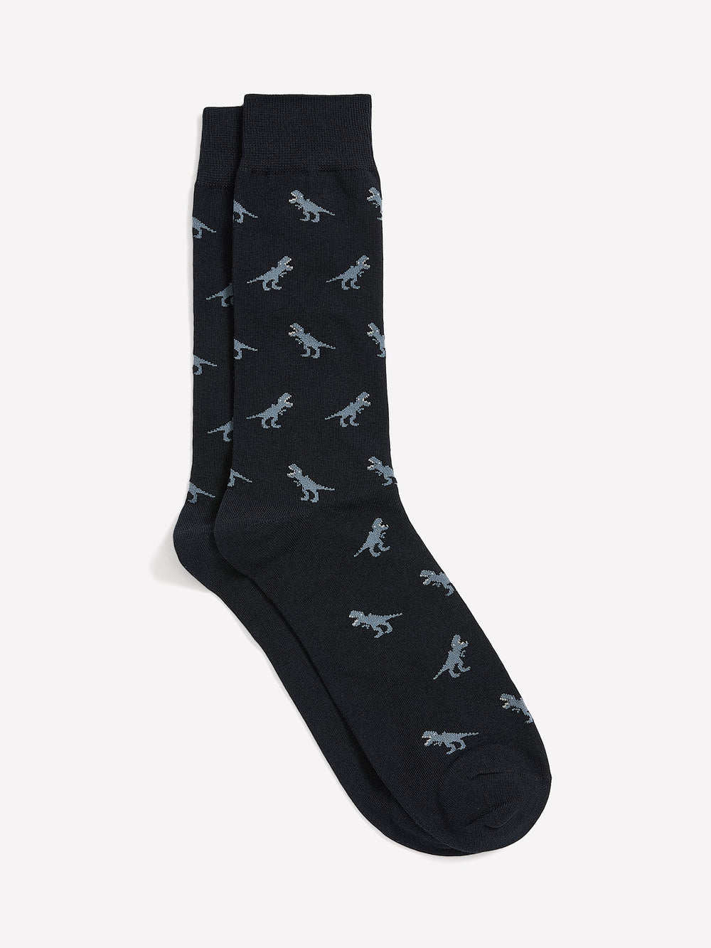 RW&CO Dinosaur Socks