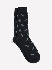 RW&CO Dinosaur Socks