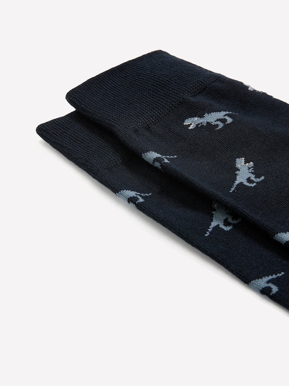 RW&CO Dinosaur Socks
