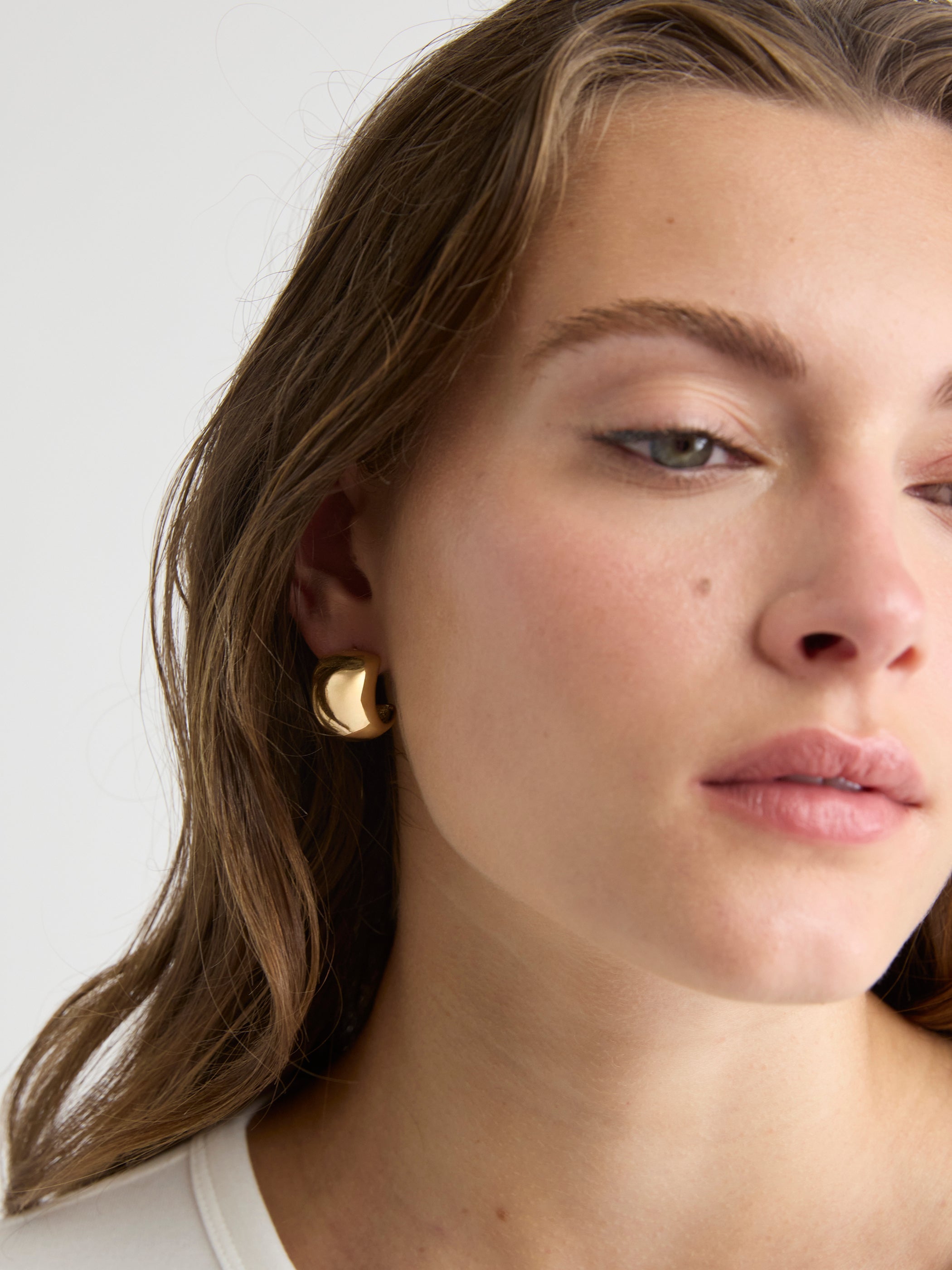 RW&CO Dome Hoop Earrings