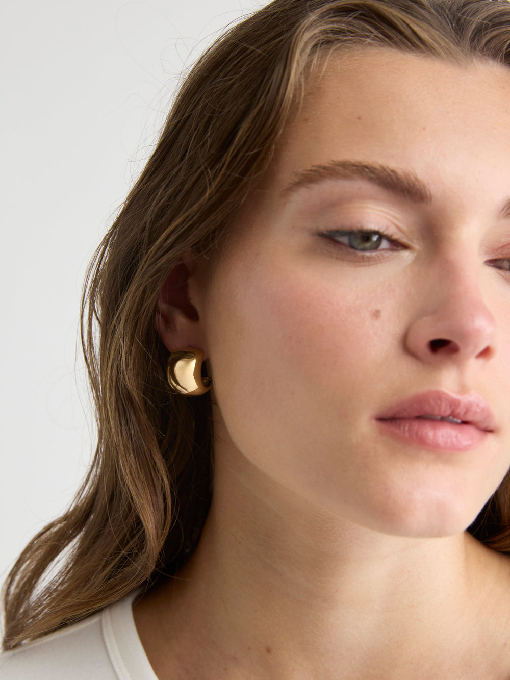 RW&CO Dome Hoop Earrings