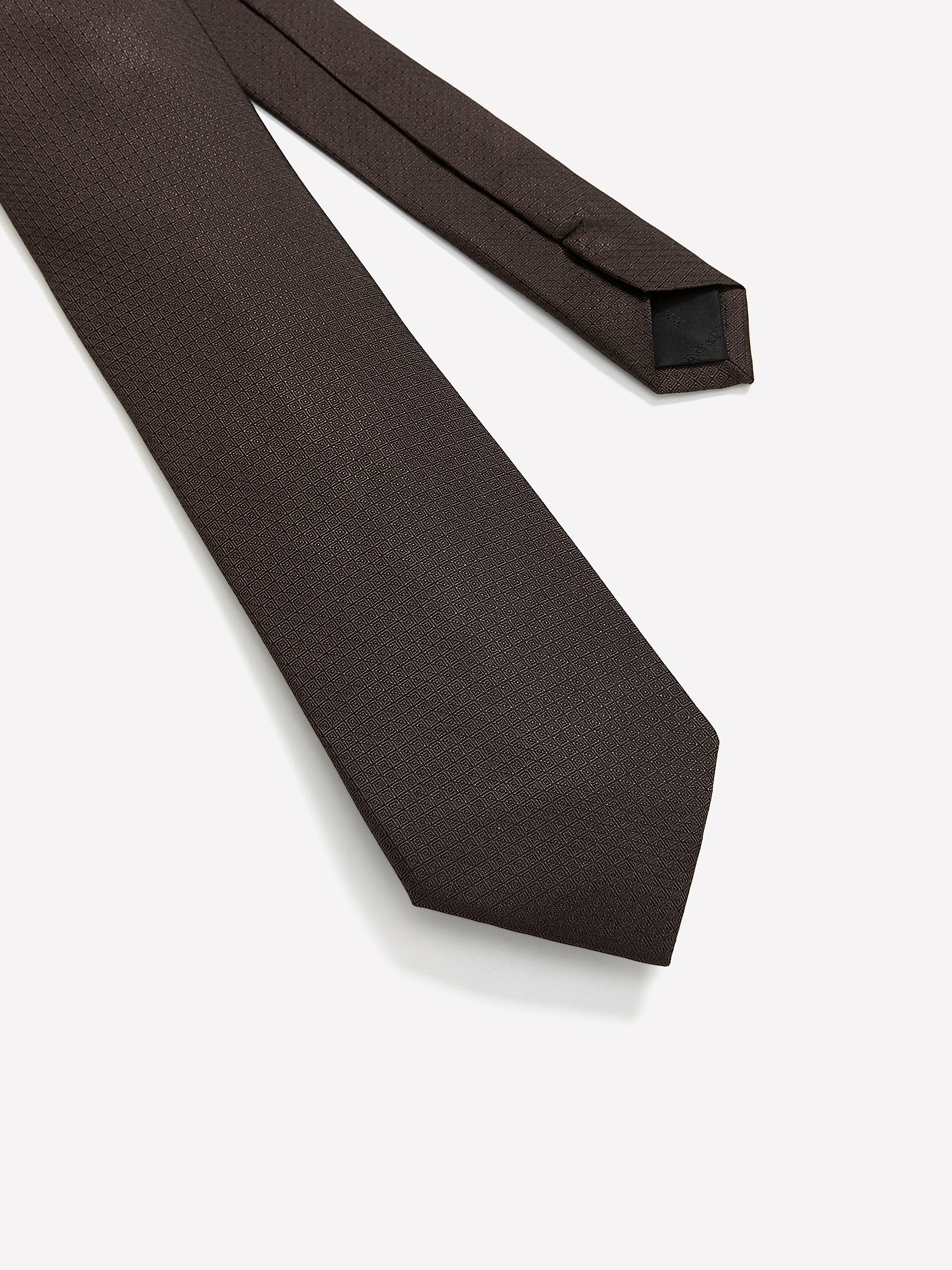 RW&CO Brown Regular Tie with Geometric Pattern