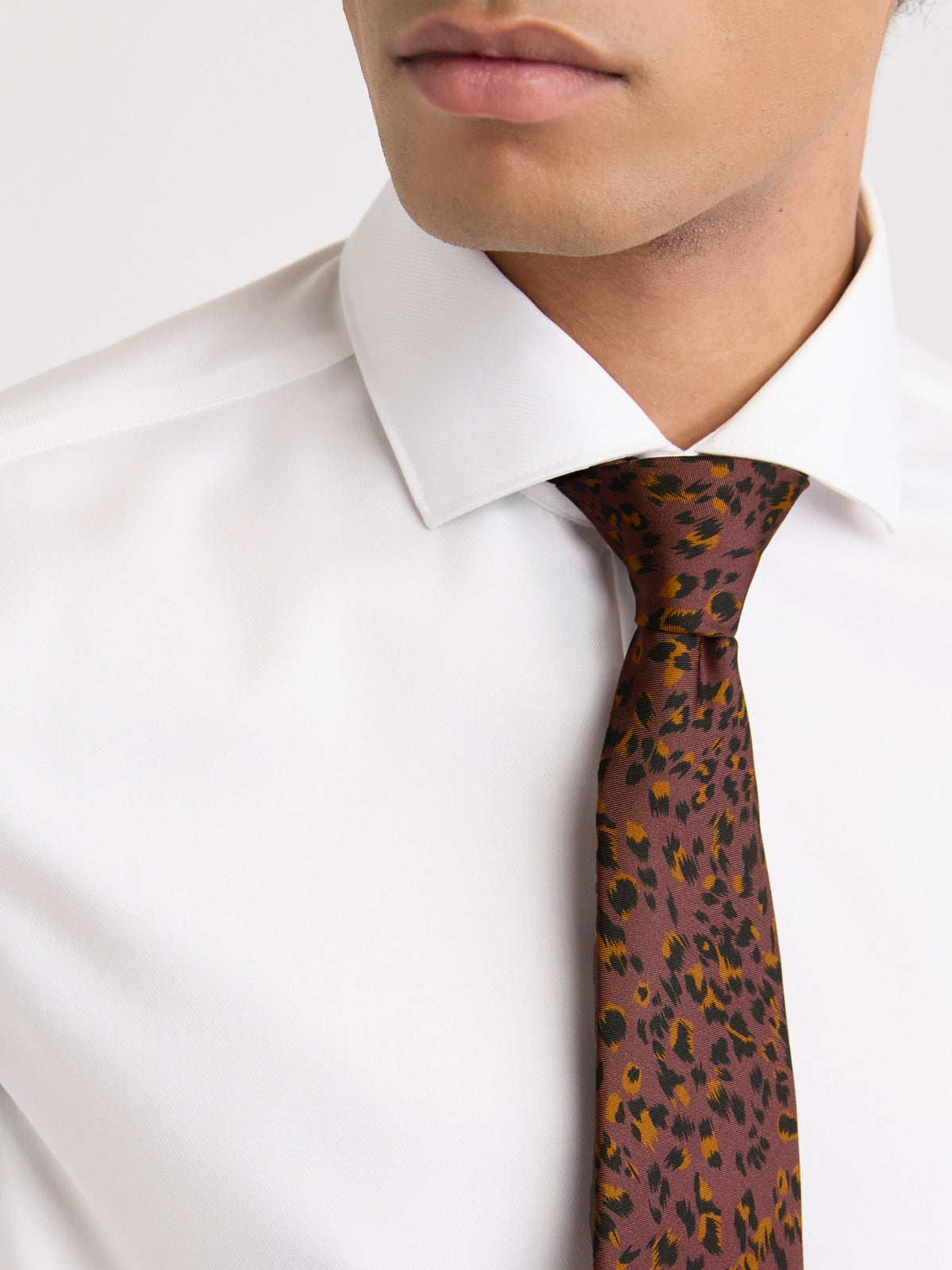 RW&CO Regular Tie with Leopard Print