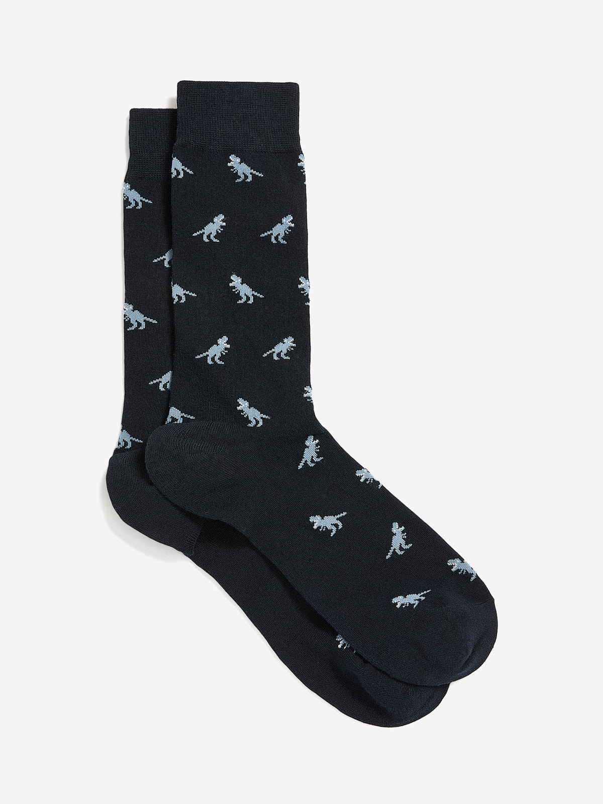 RW&CO Dinosaur Socks