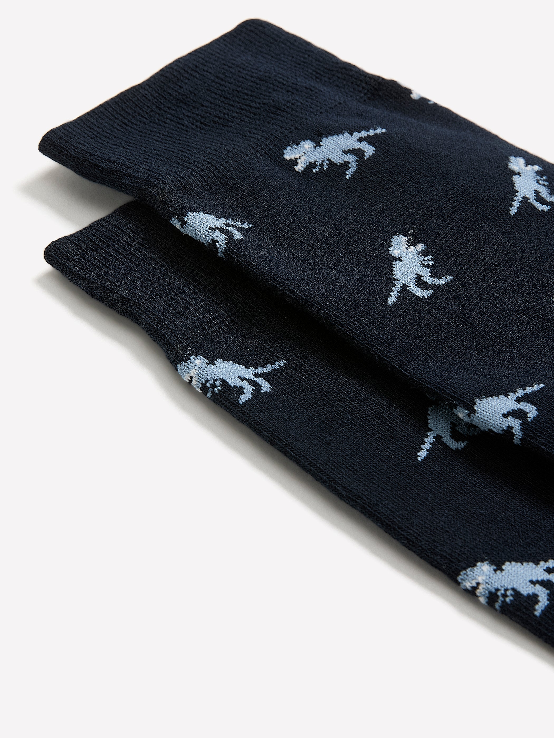 RW&CO Dinosaur Socks