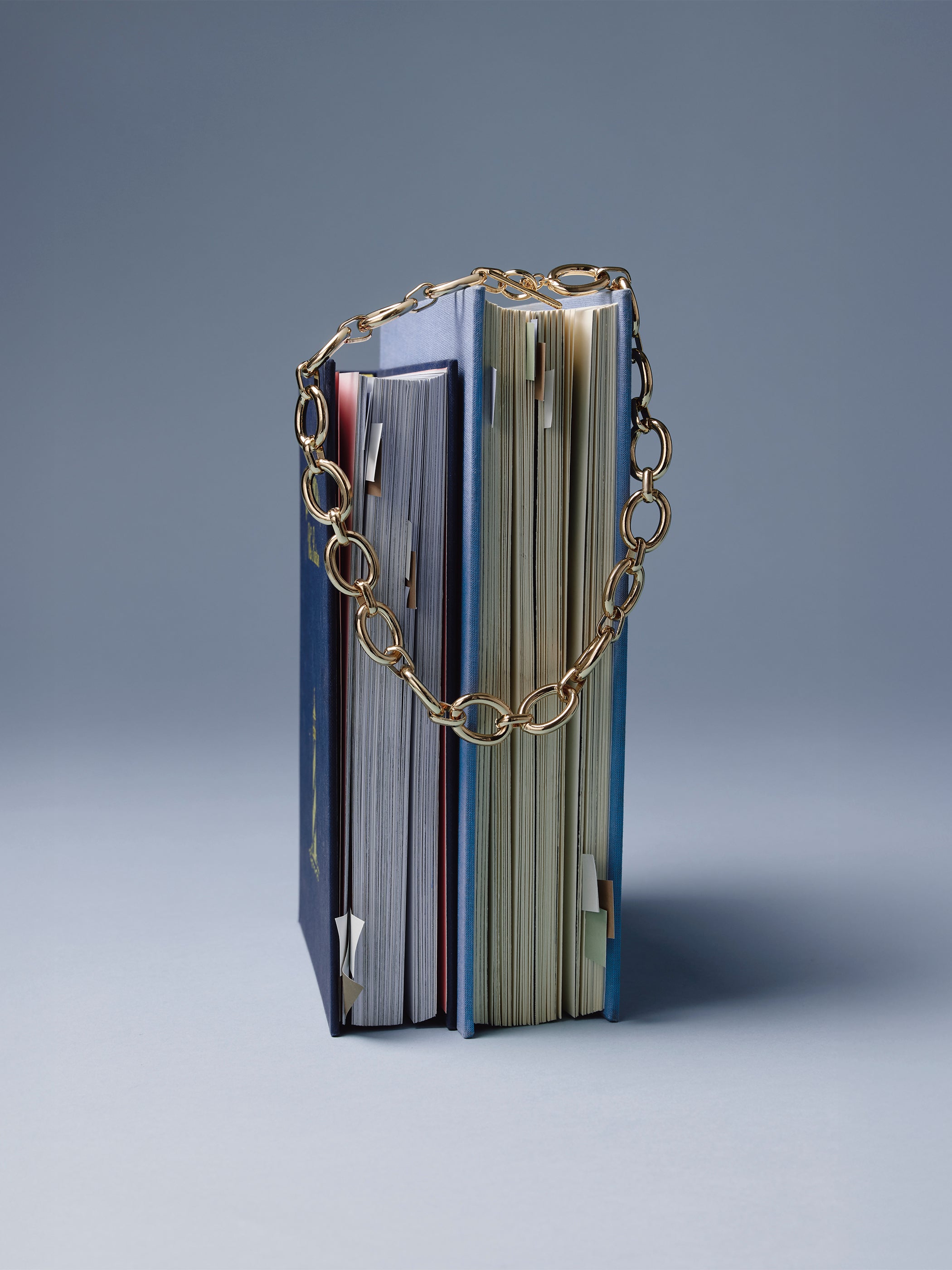 RW&CO Chunky Link Necklace