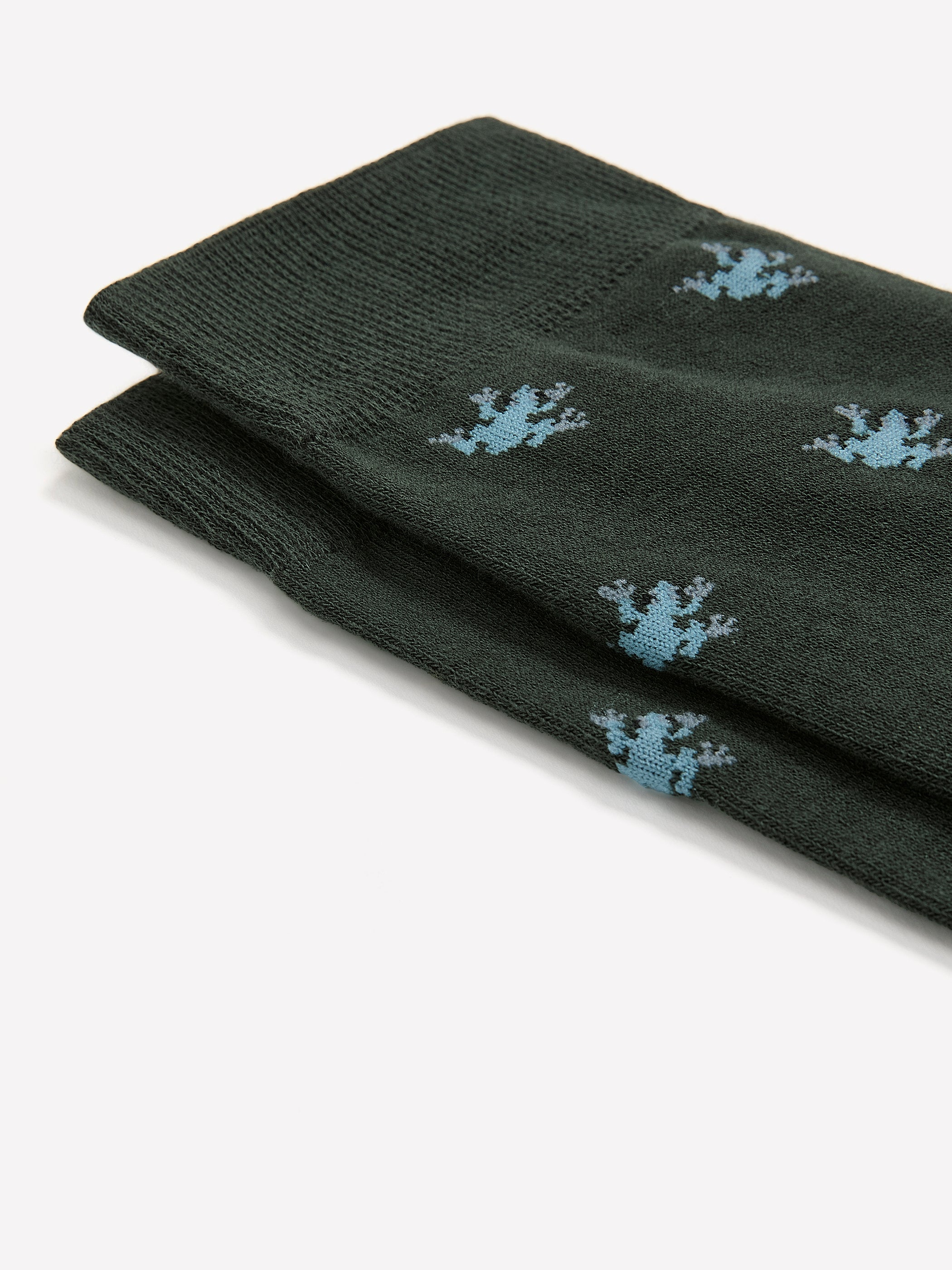 RW&CO Frog Socks