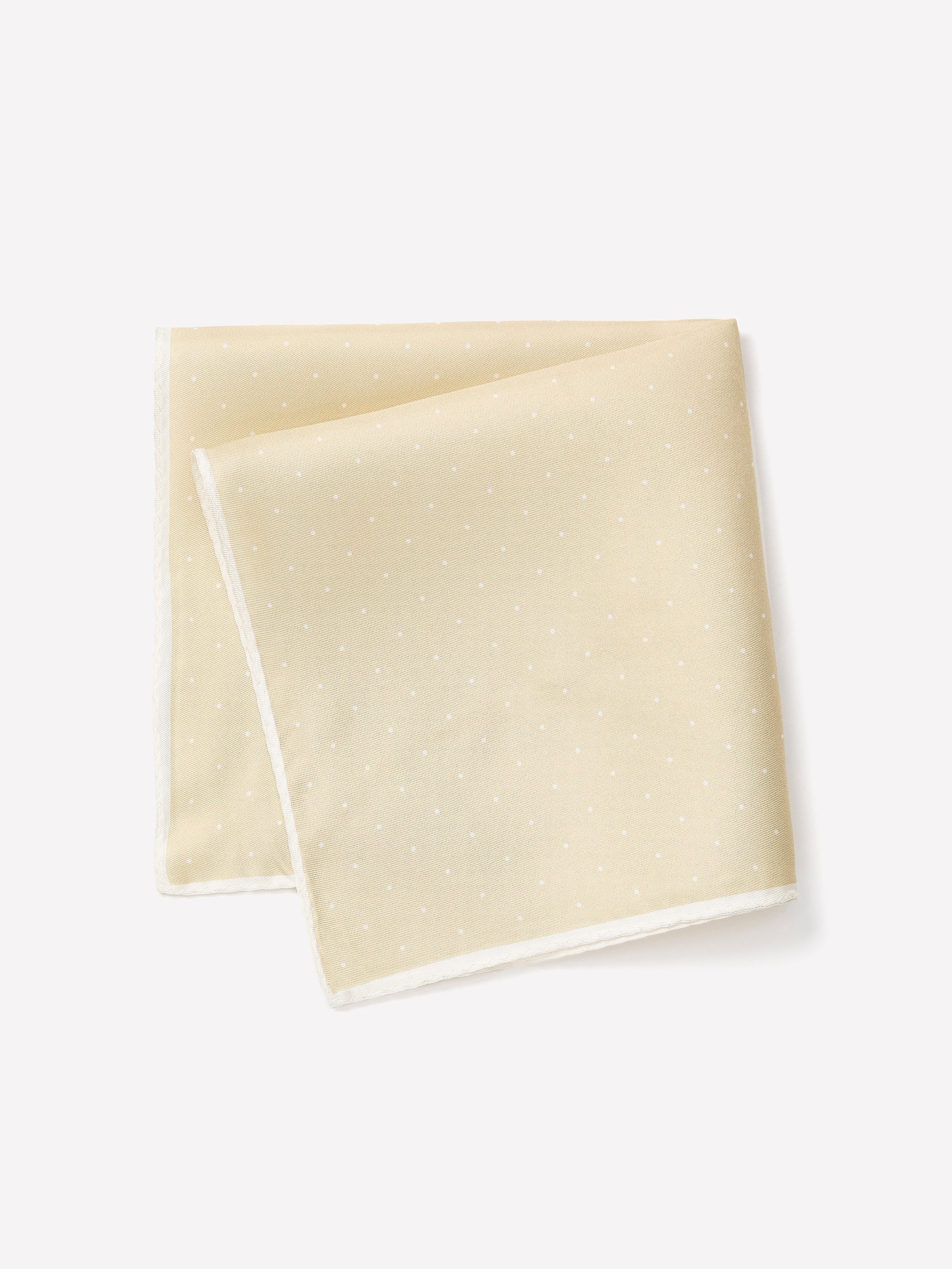 RW&CO Dotted Handkerchief