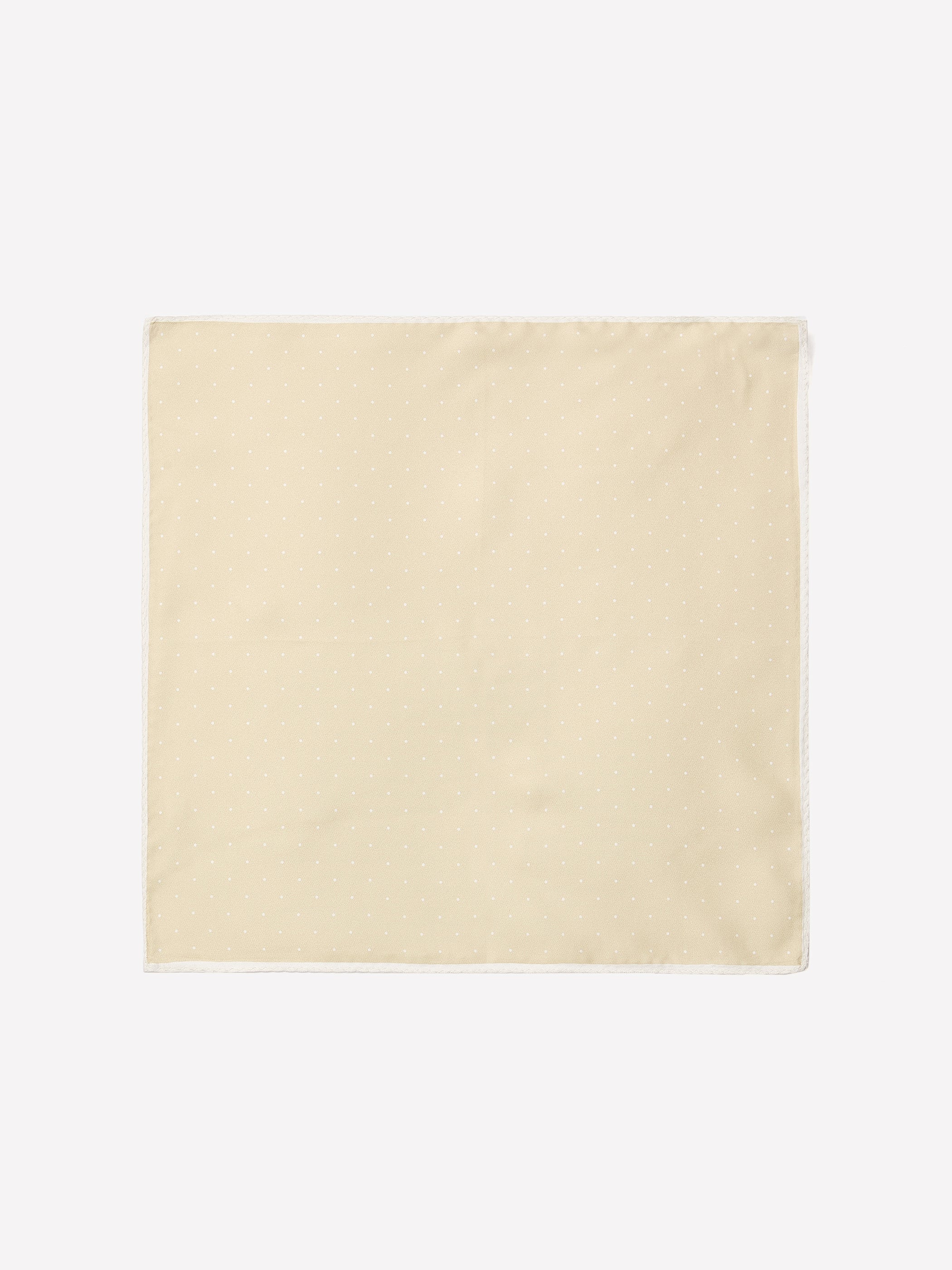 RW&CO Dotted Handkerchief