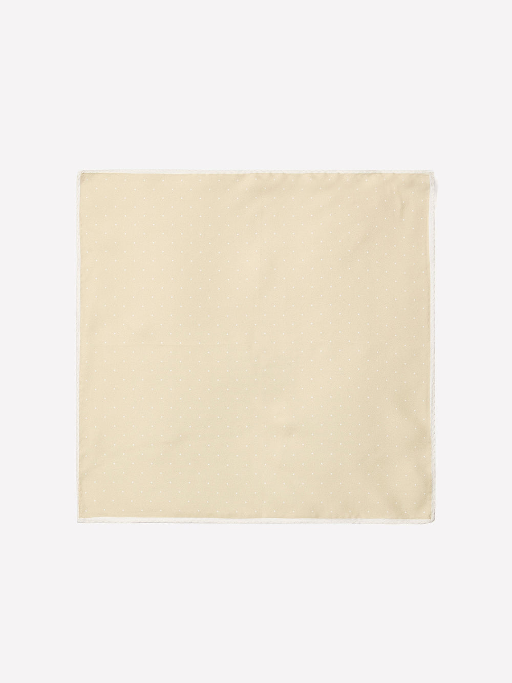 RW&CO Dotted Handkerchief